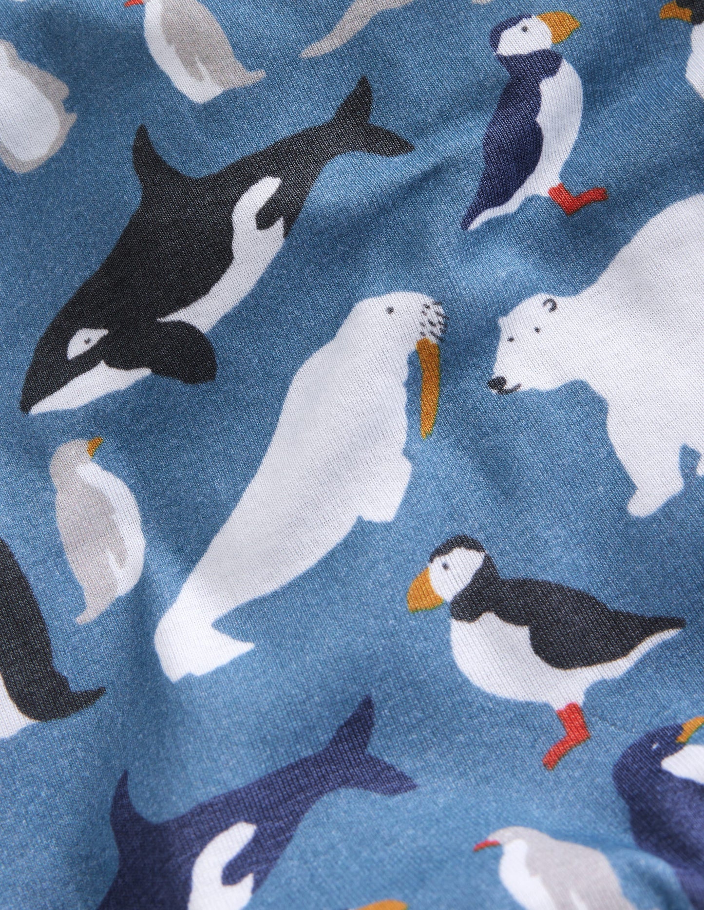 Snug Twin Pack Pyjamas -Blue Artic Animals and Stripe