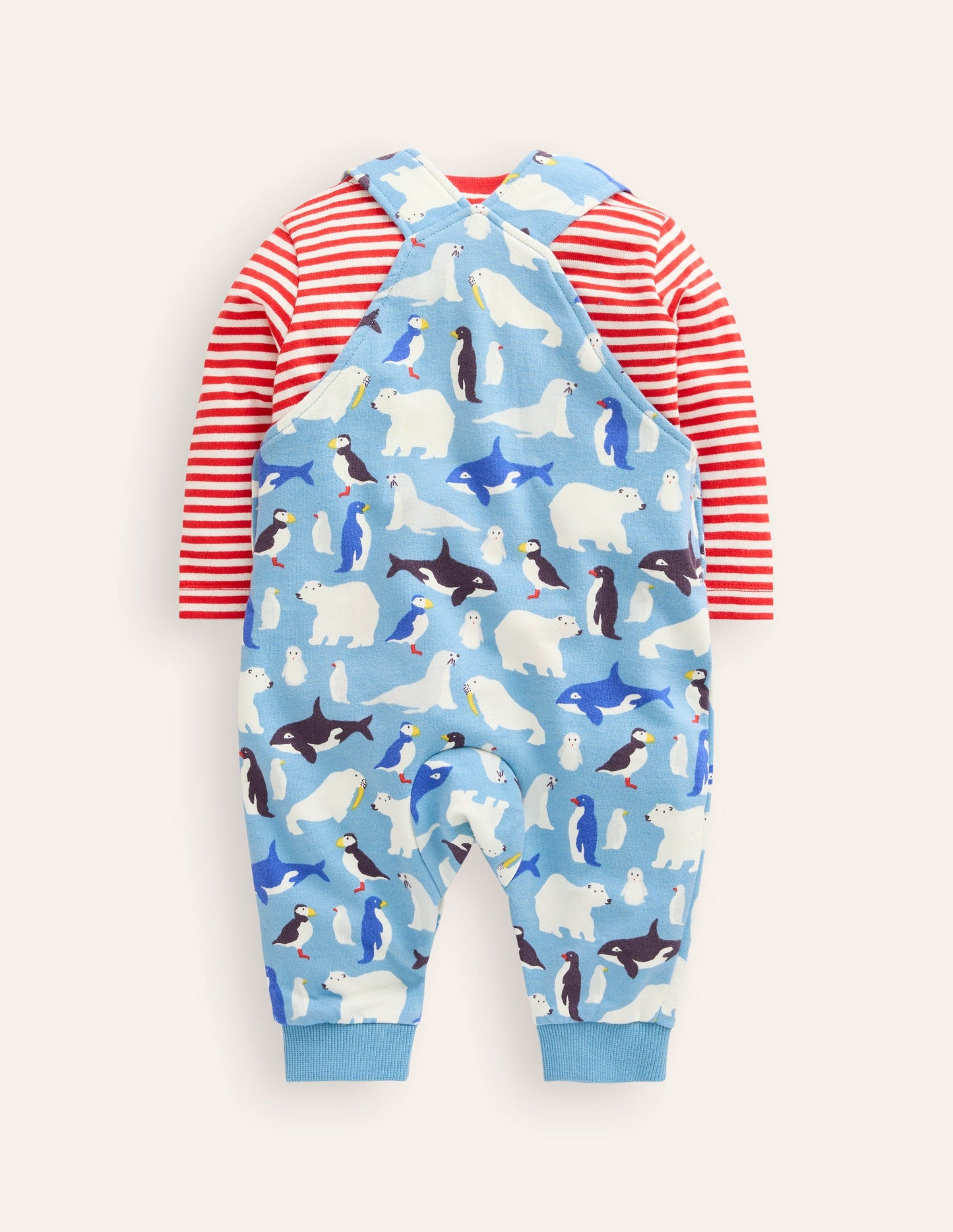 Printed Jersey Dungaree Set-Rainbow Farm