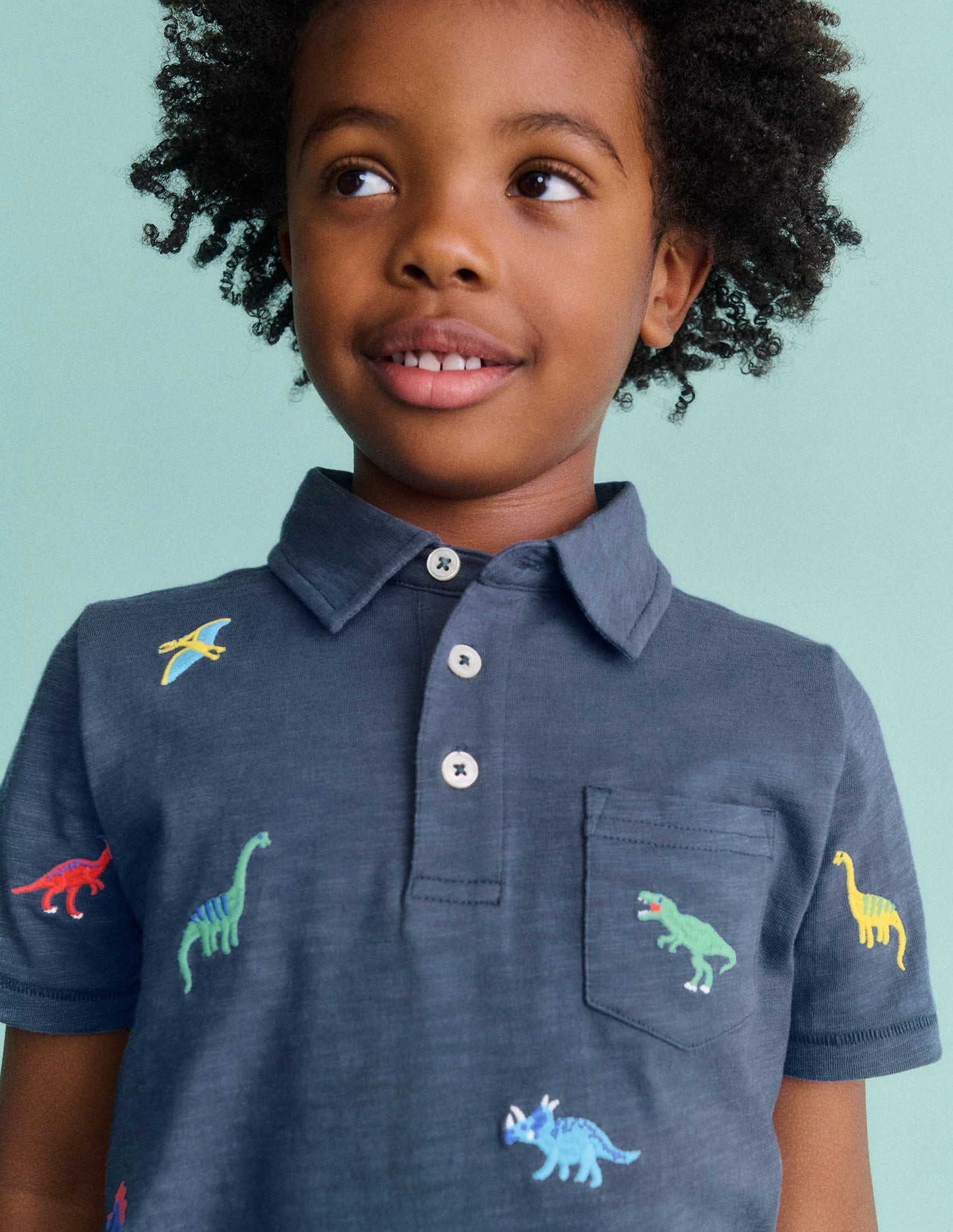 Embroidered Slub Polo Shirt-Multi Dinosaurs